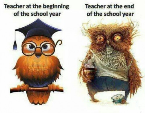 Bron: http://blog.gradeable.com/2014/06/funny-teacher-stories-end-school-year/