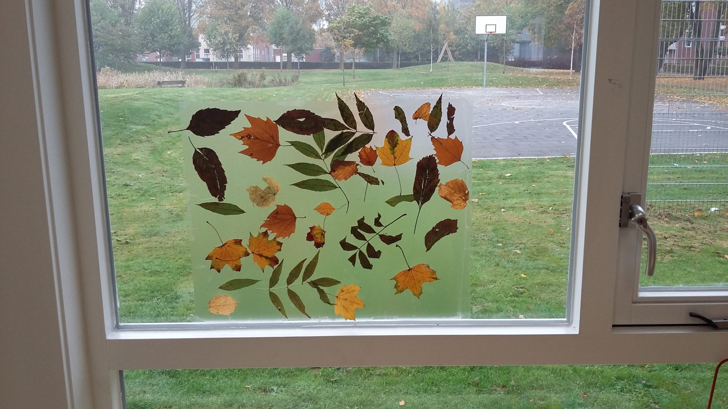 Herfstbladeren met folie op het raam