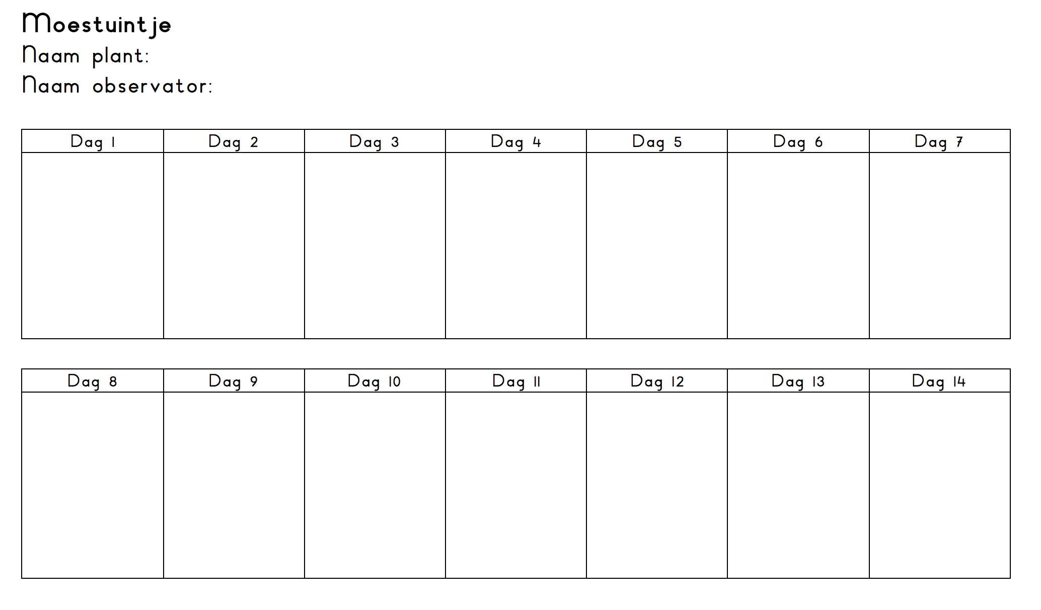 Moestuintje observatie formulier